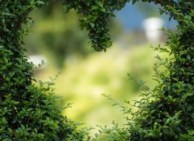 Heart symbol