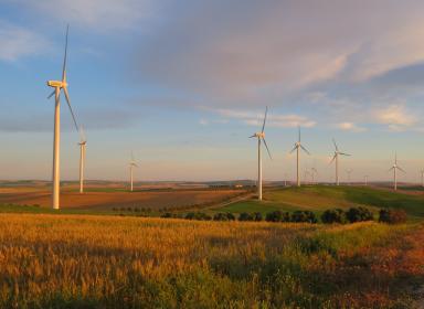Wind farm